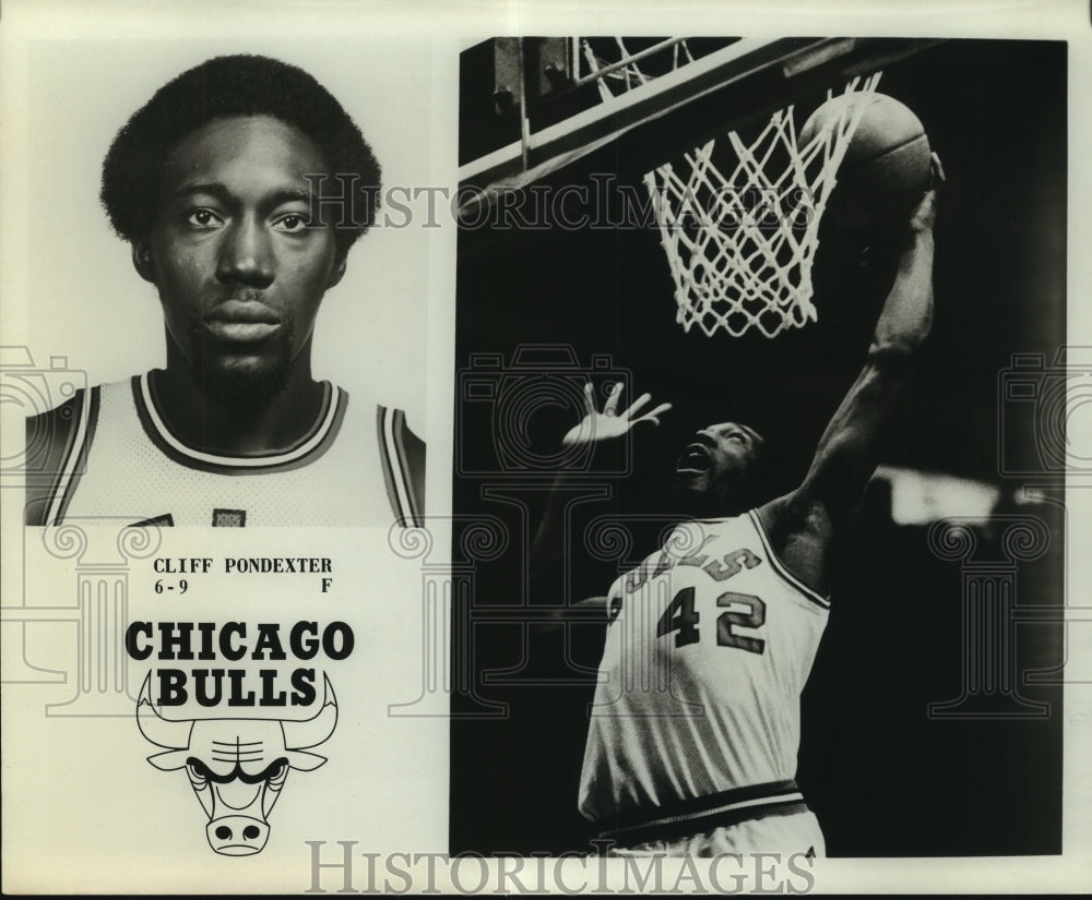 Press Photo Cliff Pondexter, Chicago Bulls Basketball Player - sas06541- Historic Images