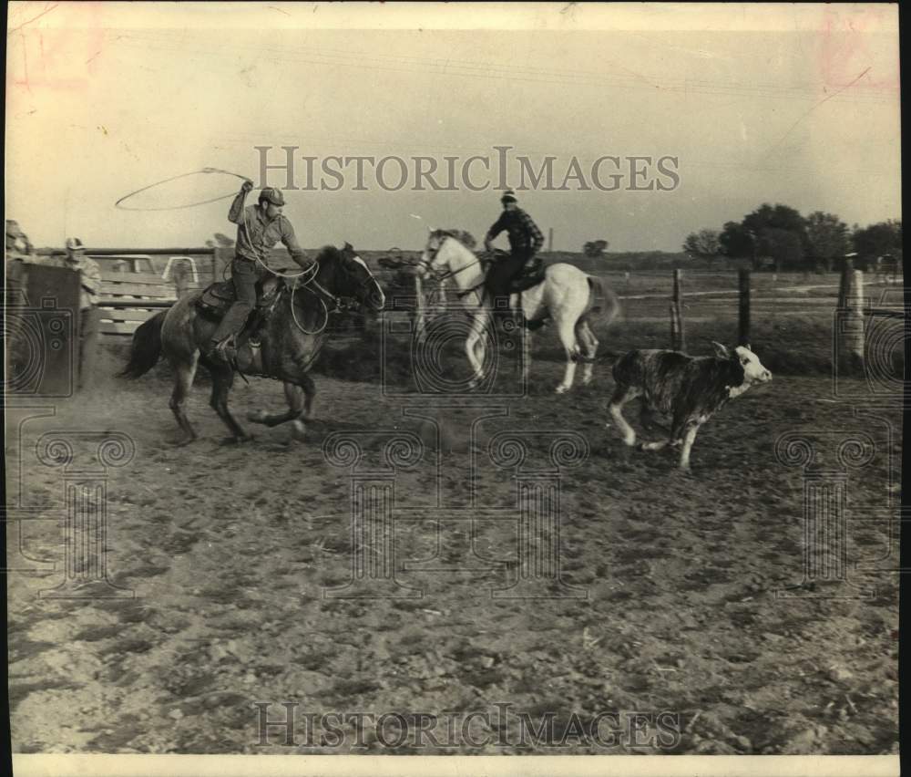 1971 Press Photo Calf roper Phil Lyne - sas13982- Historic Images