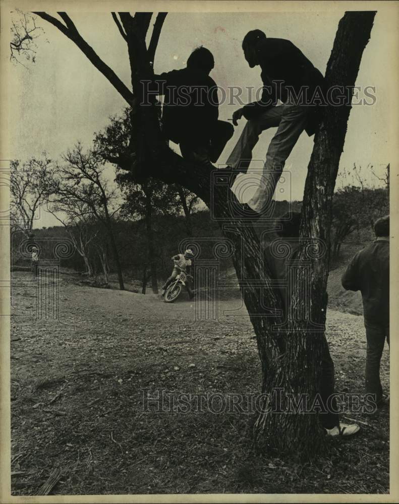 Press Photo Fans in a tree watching motocross racing - sas14932- Historic Images