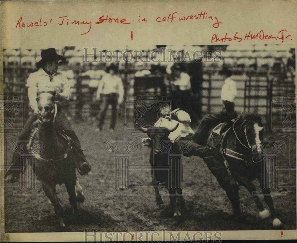 1978 Press Photo Rodeo competitor Jimmy Stone in a calf wrestling event- Historic Images