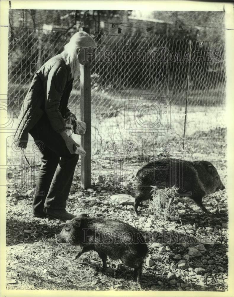 1983 Press Photo Wildlife rescuer Lynn Cuny with javelinas - sas18378- Historic Images