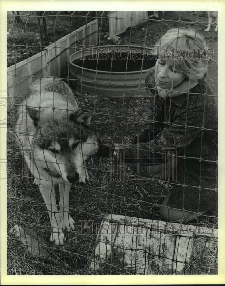 1986 Press Photo Lynn Cuny and North American timberwolf - sas18379- Historic Images