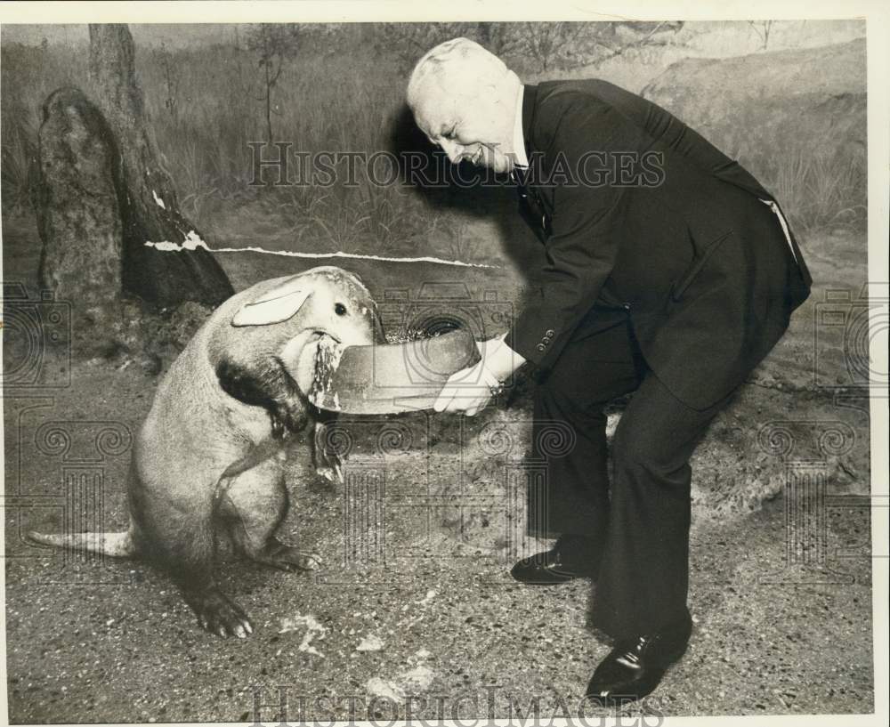 1978 Press Photo Frank Palumbo feeding aardvark at Philadelphia zoo - sax09753- Historic Images