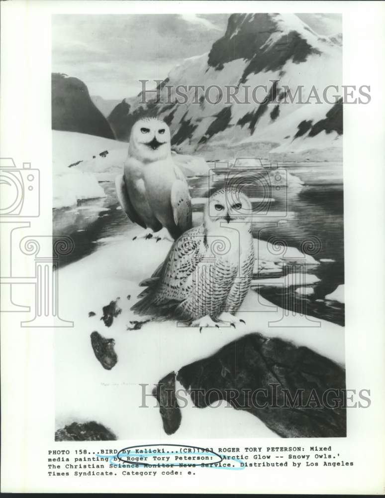 1983 Press Photo Roger Tory Peterson Painting, "Arctic Glow- Snowy Owls"