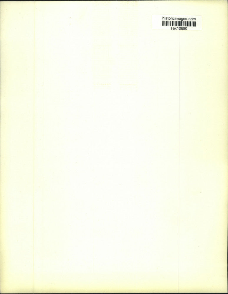 1983 Press Photo Roger Tory Peterson Painting, "Arctic Glow- Snowy Owls"