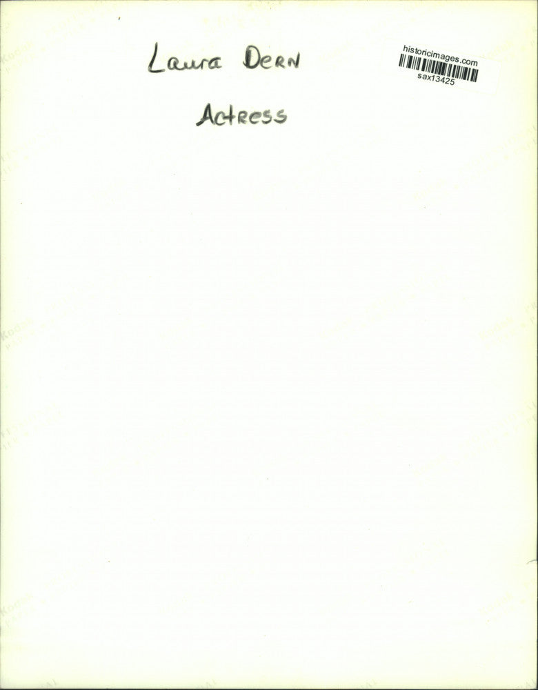 Press Photo Actress Laura Dern - sax13425