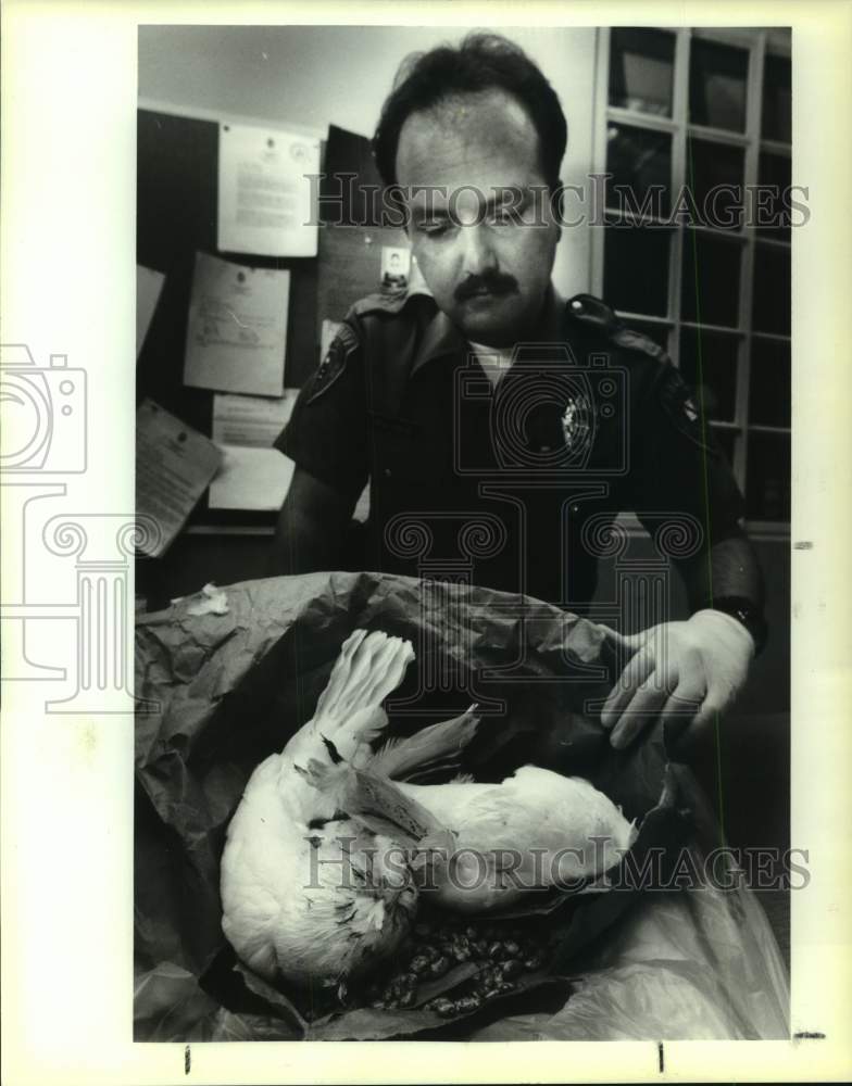 1993 Press Photo Bexar County Deputy Pat Hale Displays Magic Ritual Sacrifice- Historic Images