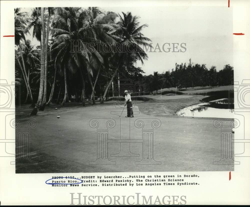 Press Photo Putting on the green in Dorado, Puerto Rico - sax17823- Historic Images