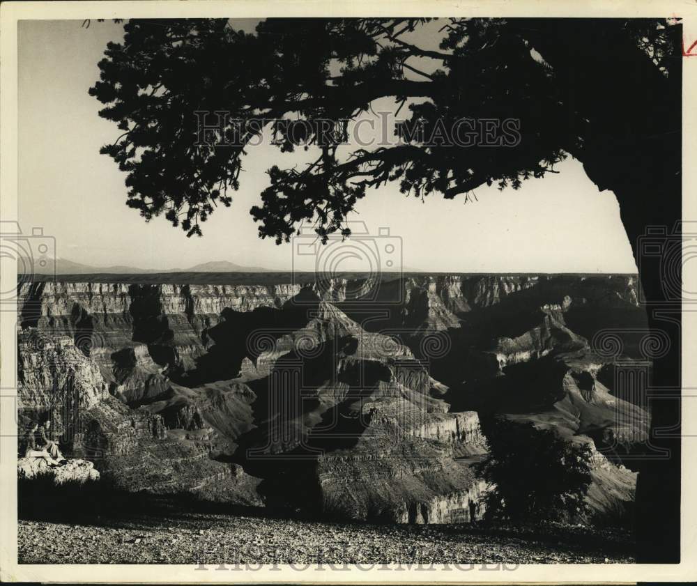 Press Photo View of Grand Canyon from North Rim - sax19534- Historic Images