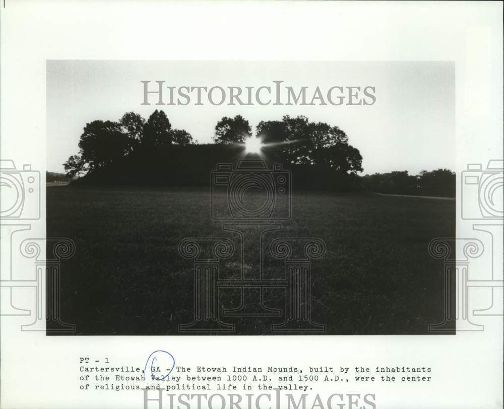 Press Photo The Etowah Indian Mounds in Cartersville, Georgia - sax22117- Historic Images