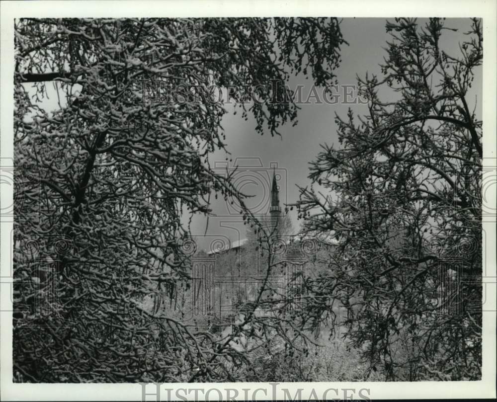 Press Photo Castle tower seen behind trees - sax22202- Historic Images