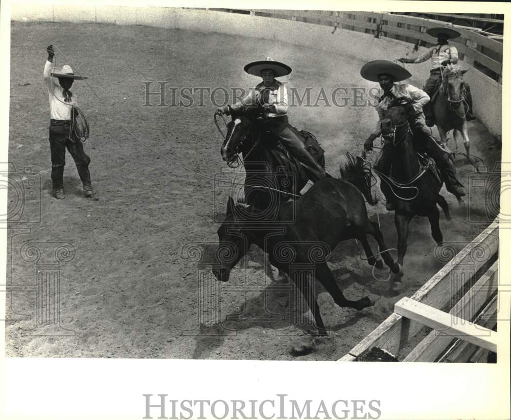 1982 Press Photo Jose V. Diaz performs a &quot;Manganes a Pie&quot; at a Charreada- Historic Images