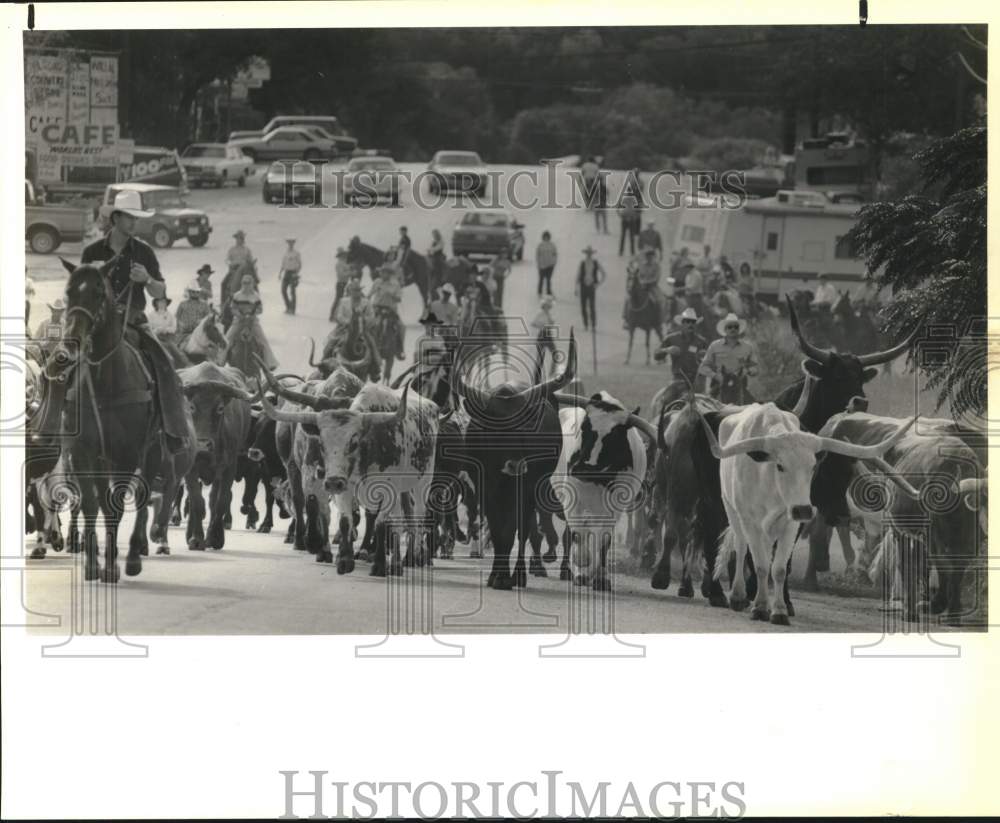 1988 Press Photo March of Dimes cattledrive starts from Helotes to Bandera- Historic Images