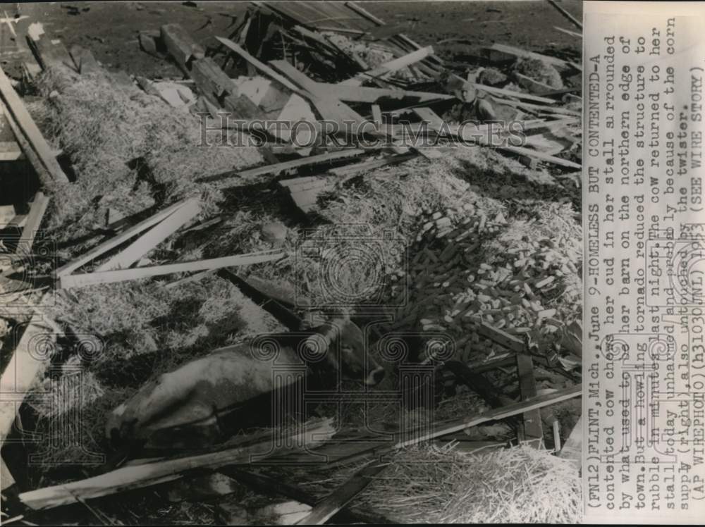 1953 Press Photo Cow&#39;s barn on northern edge in Flint destroyed by tornado- Historic Images