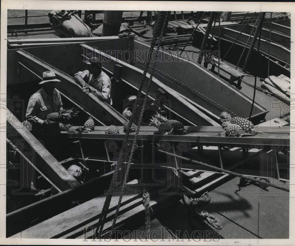 Press Photo Pineapples being loaded into hold of ship at Brownsville - sax27265- Historic Images