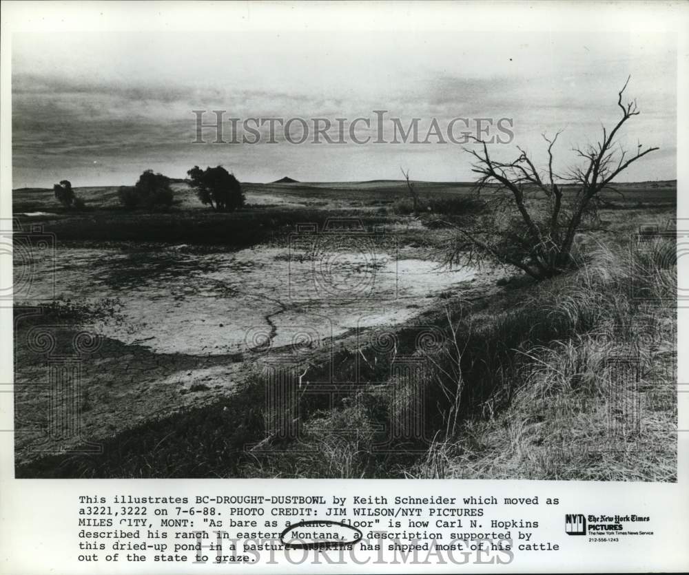 1988 Press Photo Drought Area at Carl N. Hopkins Ranch in Miles City, Montana- Historic Images