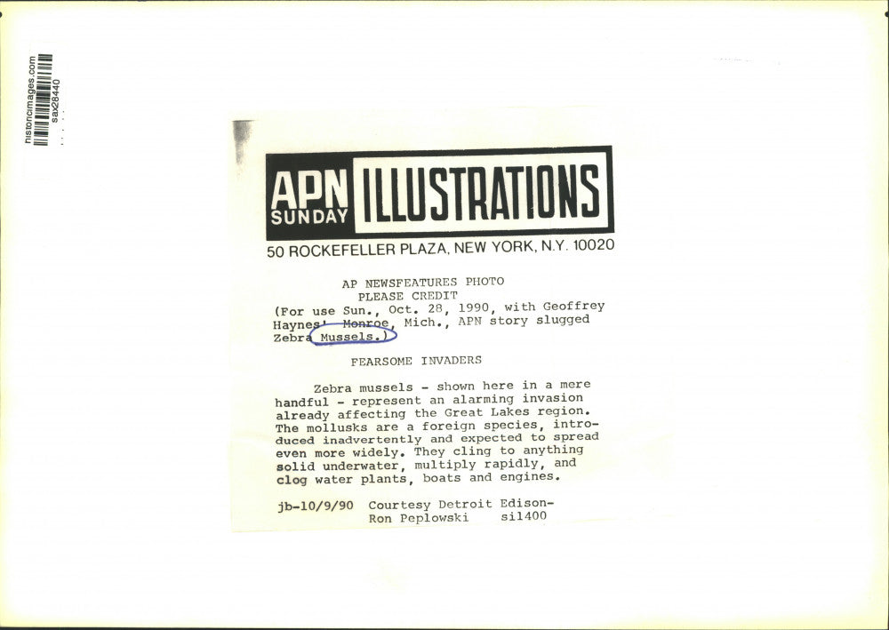 1990 Press Photo Zebra Mussels in the Great Lakes Area - sax28440