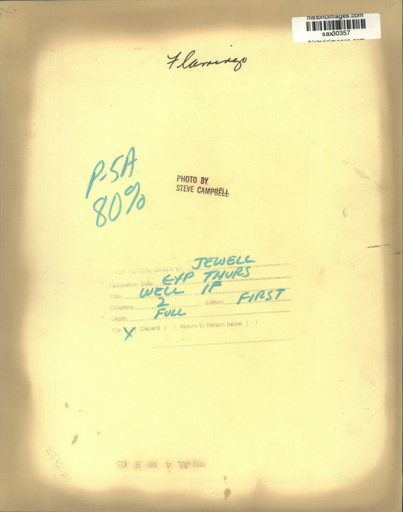 1974 Press Photo A flamingo - sax30357