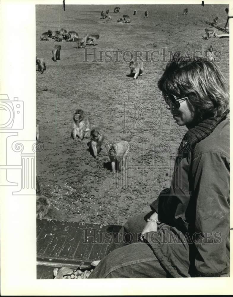 1984 Press Photo Lou Griffin with Japanese macaques monkeys at Arashiyama Center- Historic Images