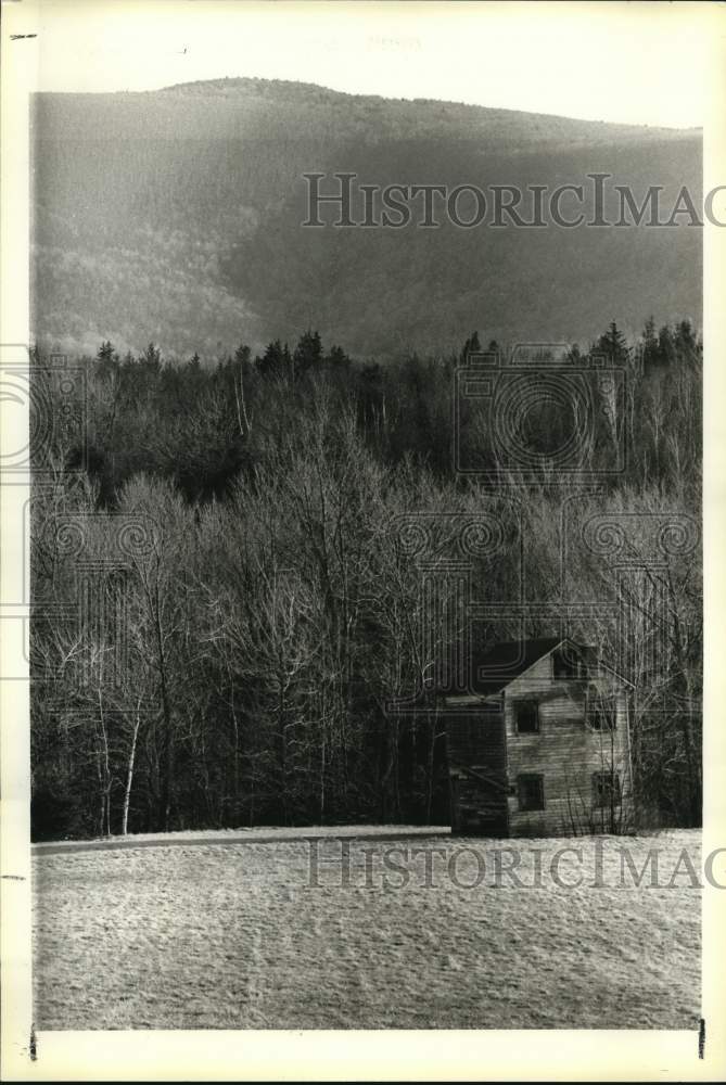 1985 Press Photo Old house stands against Catskills mountain near Tannersville- Historic Images