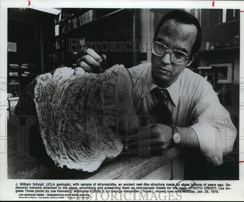 1978 Press Photo J. William Schopf, UCLA Geologist with Stromatolite Sample- Historic Images