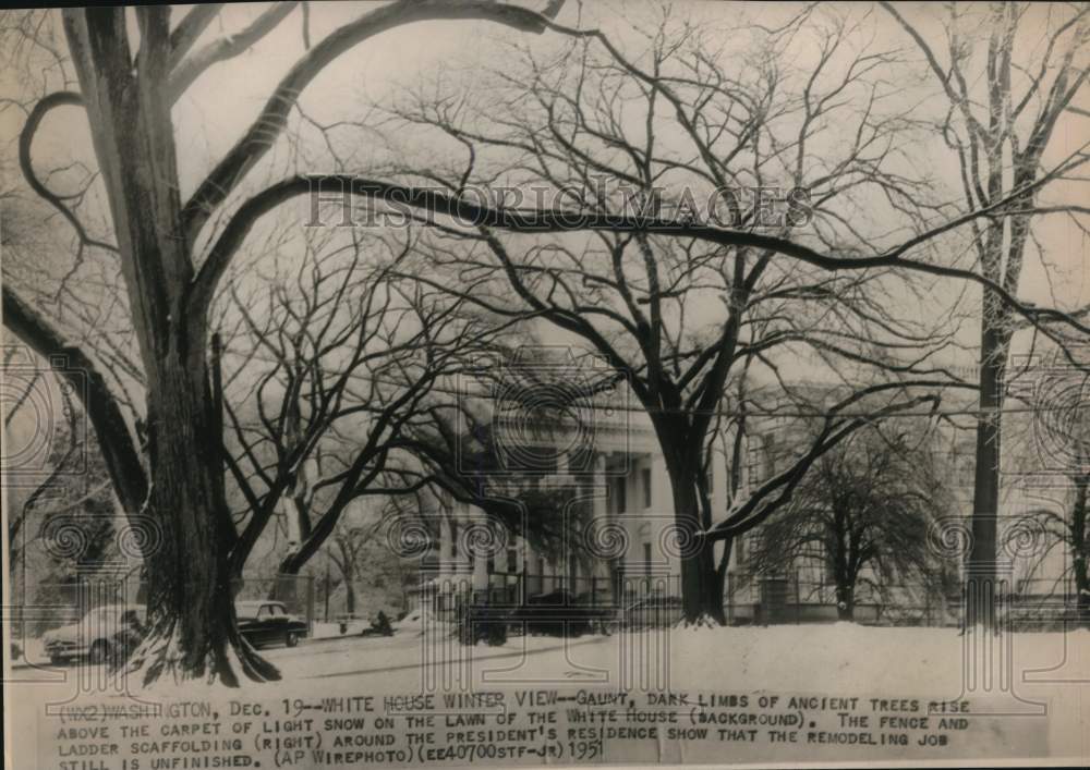 1951 Press Photo Snow on the Grounds of the White House Lawn in Washington, D.C.- Historic Images