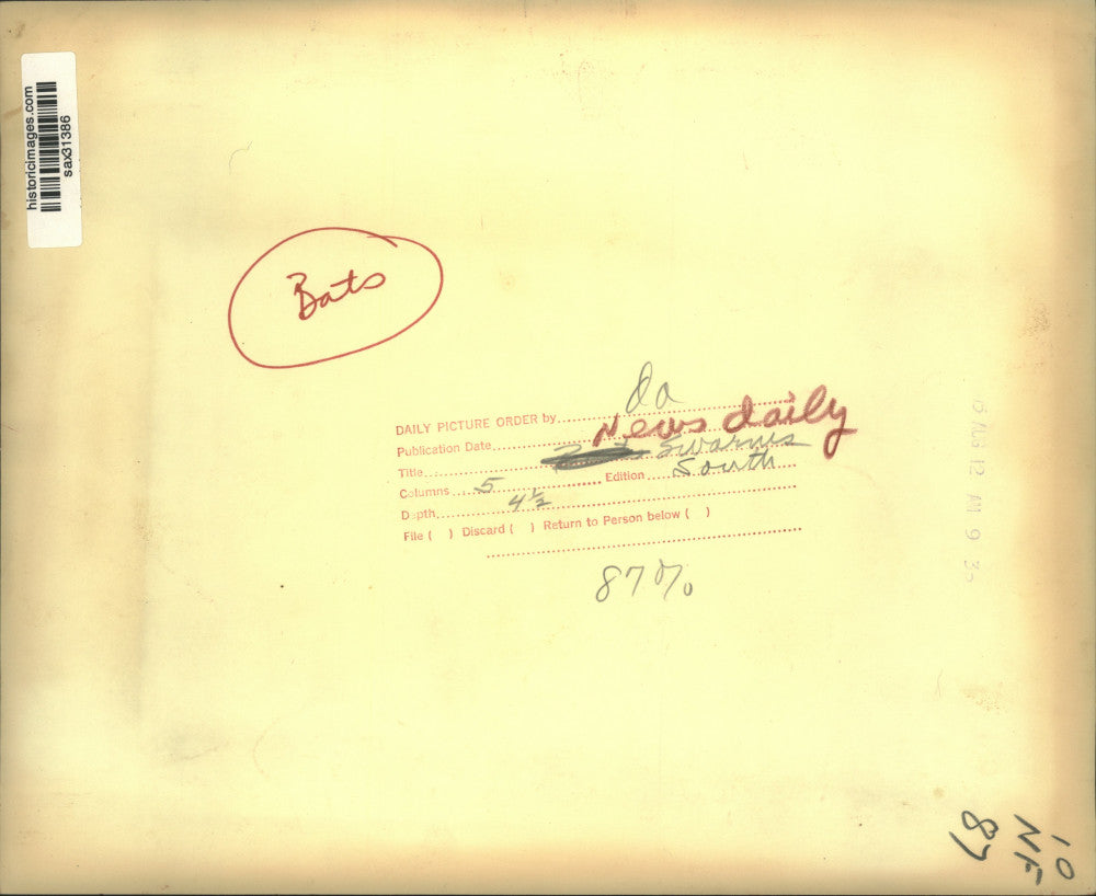 1975 Press Photo Swarm of bats flies close to a home structure - sax31386