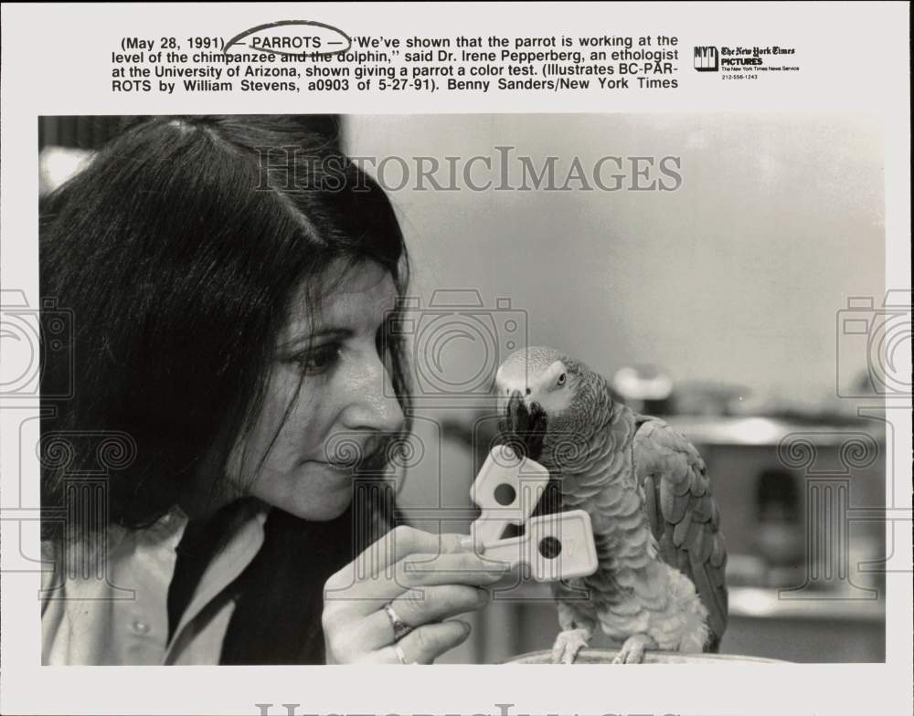 1991 Press Photo Dr, Irene Pepperberg giving parrot a color test, Arizona- Historic Images