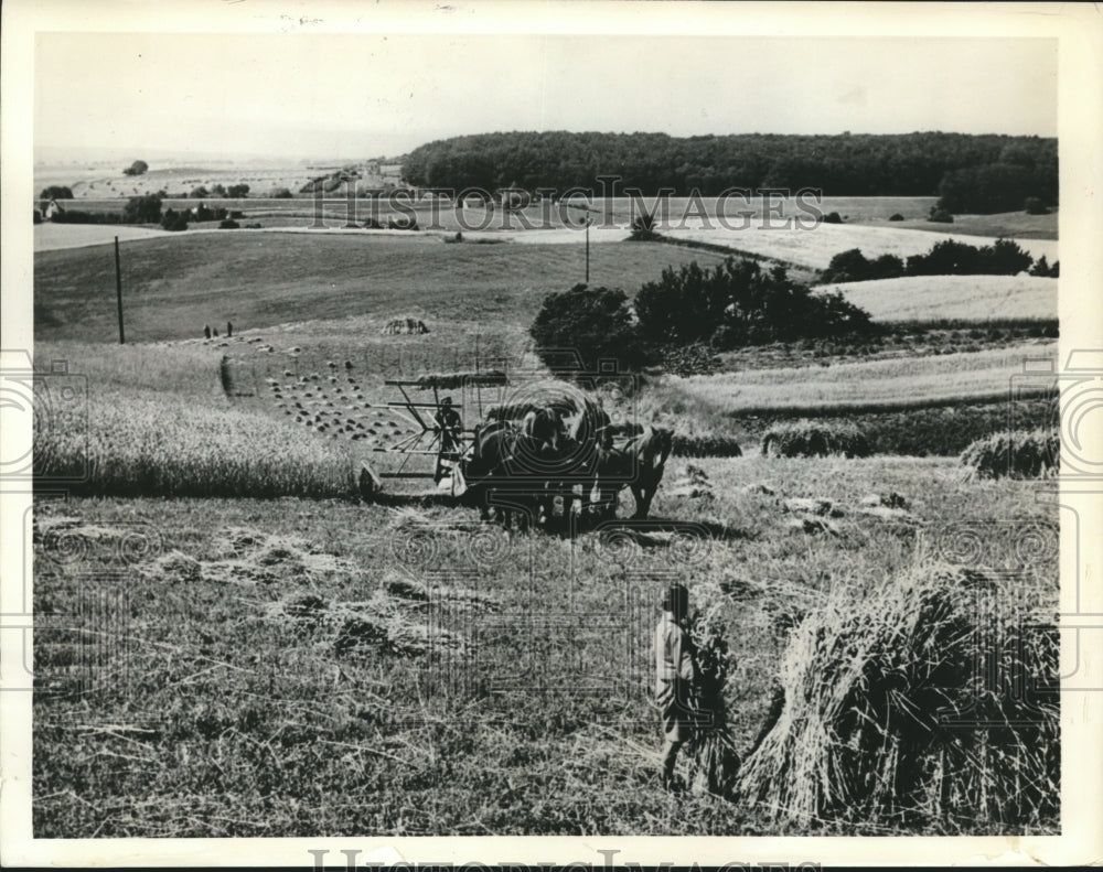 1940 Press Photo Danish Army near Copenhagen during harvesting of the Crop.- Historic Images