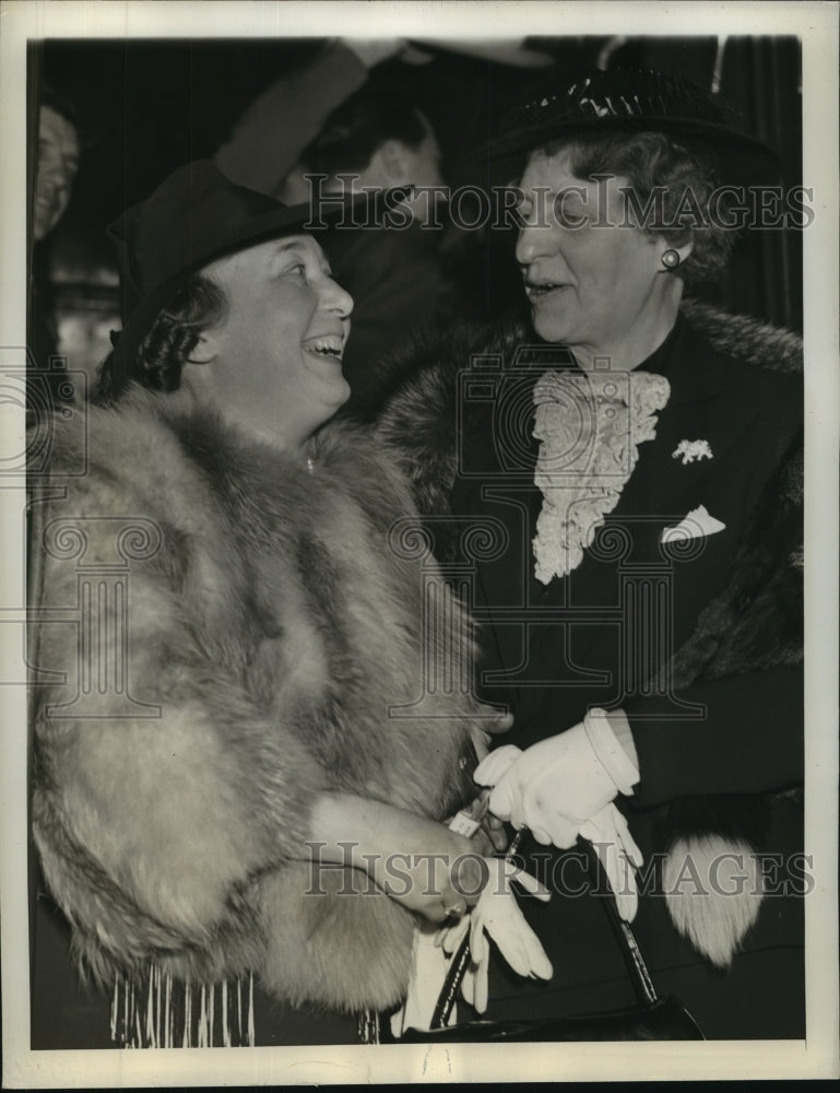 1940 Press Photo Mabel Reinecke to Replace Frank Knox as Delegate to RNC.- Historic Images