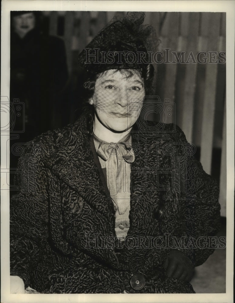 1930 Press Photo Mrs. Mimi Heinemann, famous art Connoisseur arrives New York- Historic Images