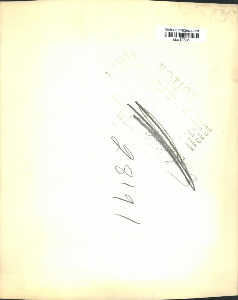 1946 Press Photo Adolph Sabath appears before the War Investigating Committee