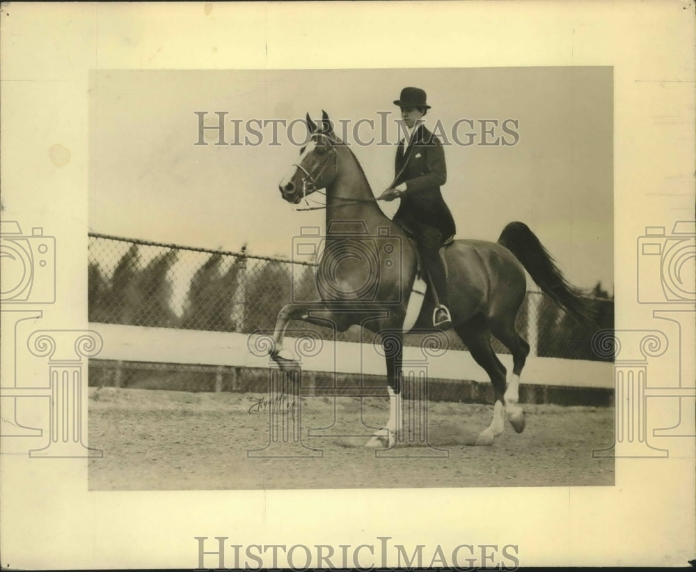 Press Photo Carnation Diamond rode by Amy Novich Freeman - sba20011