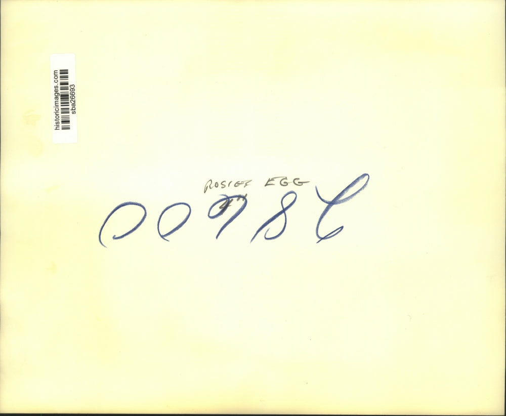 Press Photo Two men measure Rosie's egg - sba26693