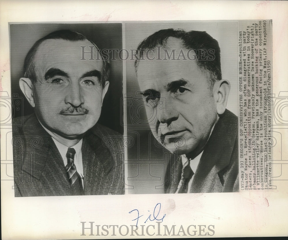 1950 Press Photo GOP Sen Wayne L Morse vs Dave Hoover, Oregon conservative