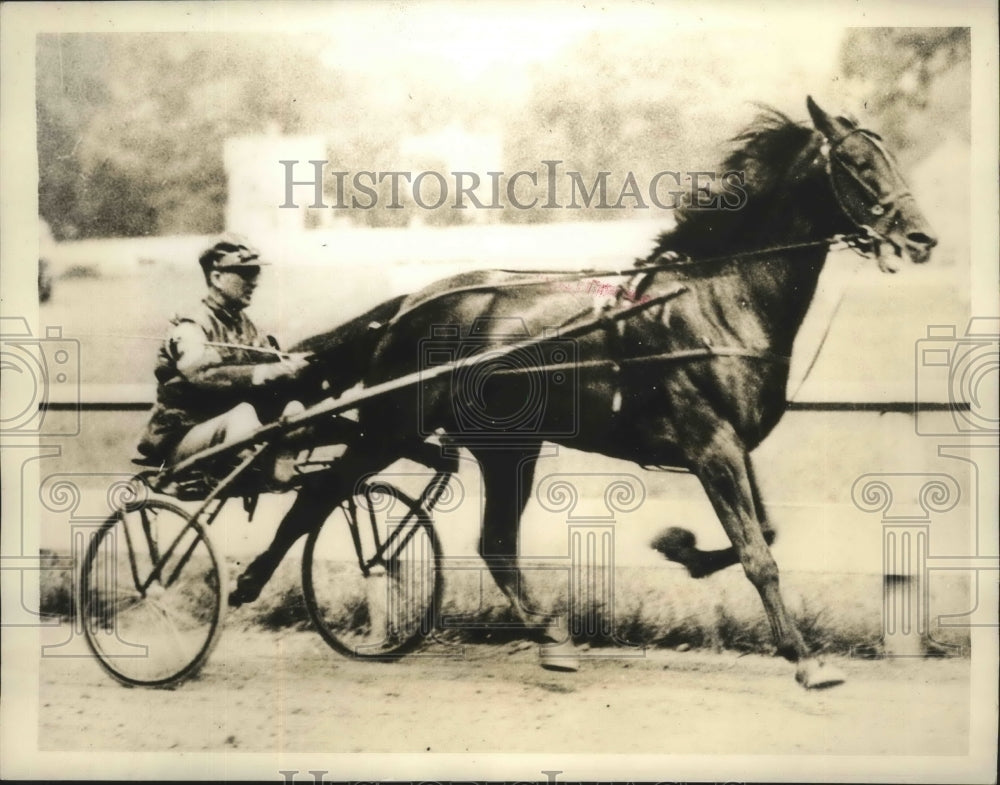 Press Photo Desota Horse Favored to Win Hambletonian - sbs04150- Historic Images