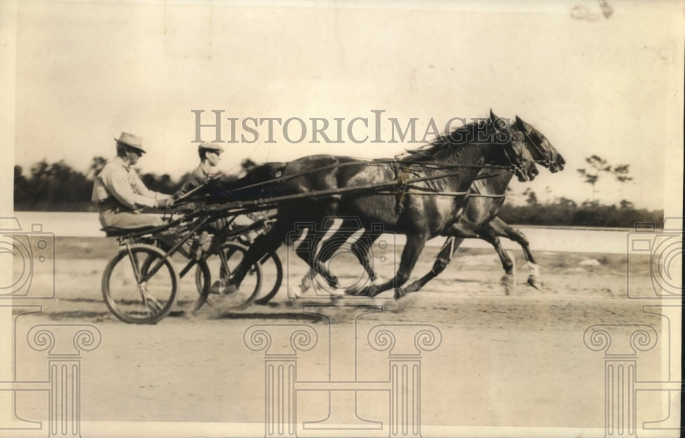 1937 Press Photo Ben White and Gibson White working out their trotters- Historic Images