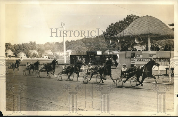 1940 Press Photo Brady Hanover, Peter Piper, Peerless Princess ...