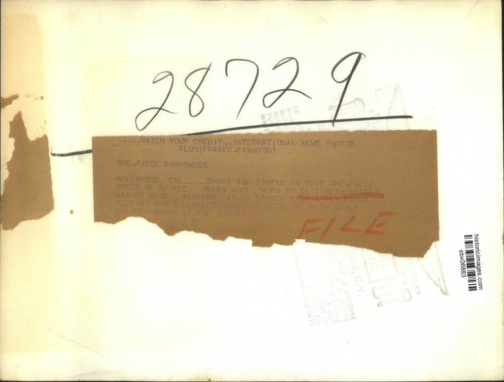 Press Photo Elisabeth Fraser Warner Brothers actress in bronze dress