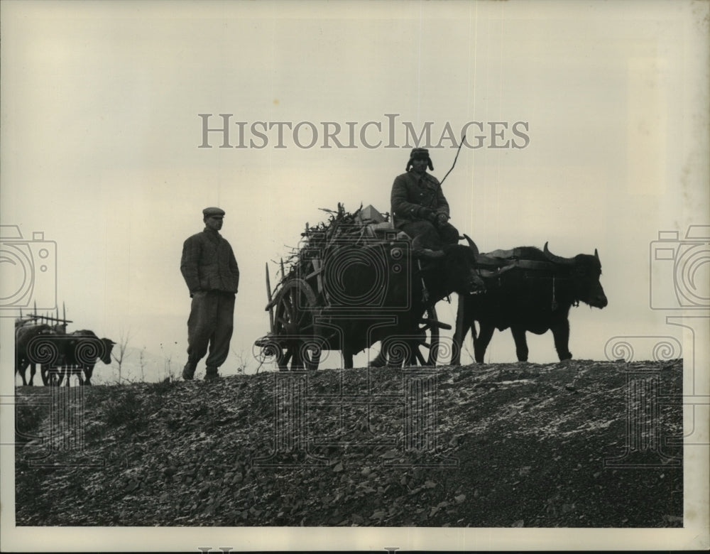 1954 Press Photo Soviet Union Citizens Walking with an Ox