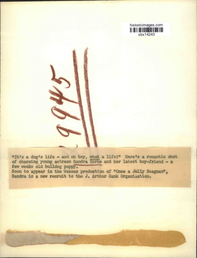 Press Photo Actress Sandra Dorne Holds Bulldog Puppy - sbx14243