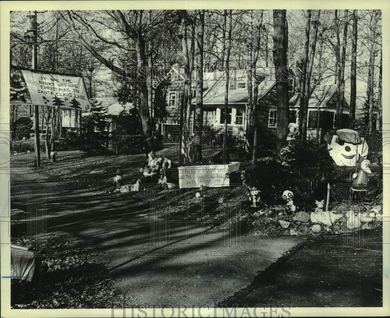 Load image into Gallery viewer, 1979 Press Photo Christmas display at Margaret Gefken's home, Richmond
