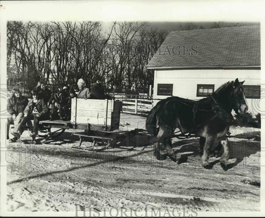 1977 Press Photo A horse-drawn sleight at Clove Lake Stables - sia02493- Historic Images