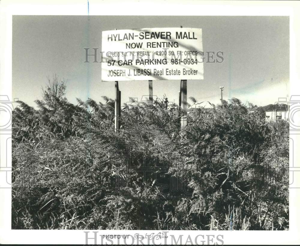 1987 Press Photo A Hylan-Seaver Mall "For Lease" sign in Dongan Hills