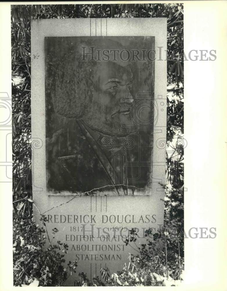 1988 Press Photo Frederick Douglas monument at Oakwood Cemetery - sia02889
