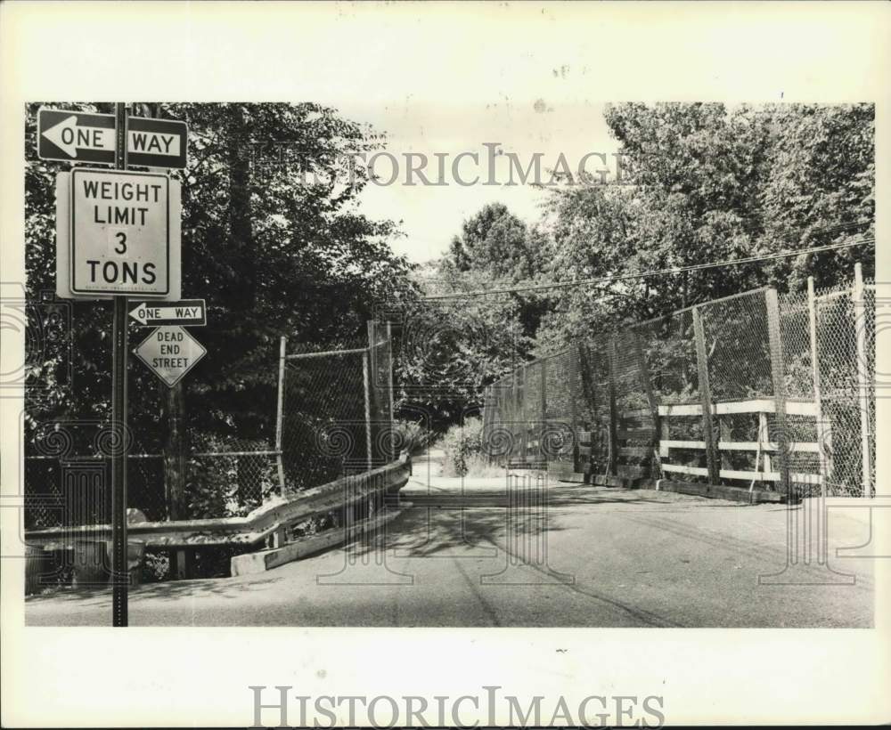1985 Press Photo The Chestnut Avenue bridge in Rosebank, Staten Island