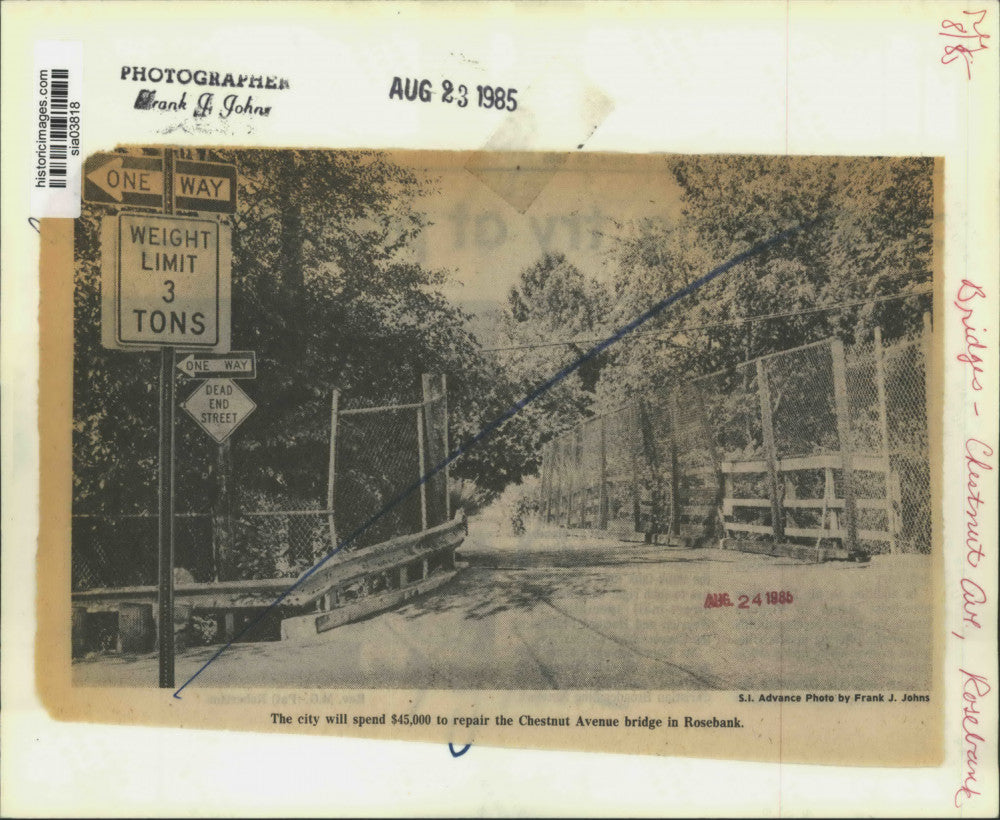 1985 Press Photo The Chestnut Avenue bridge in Rosebank, Staten Island