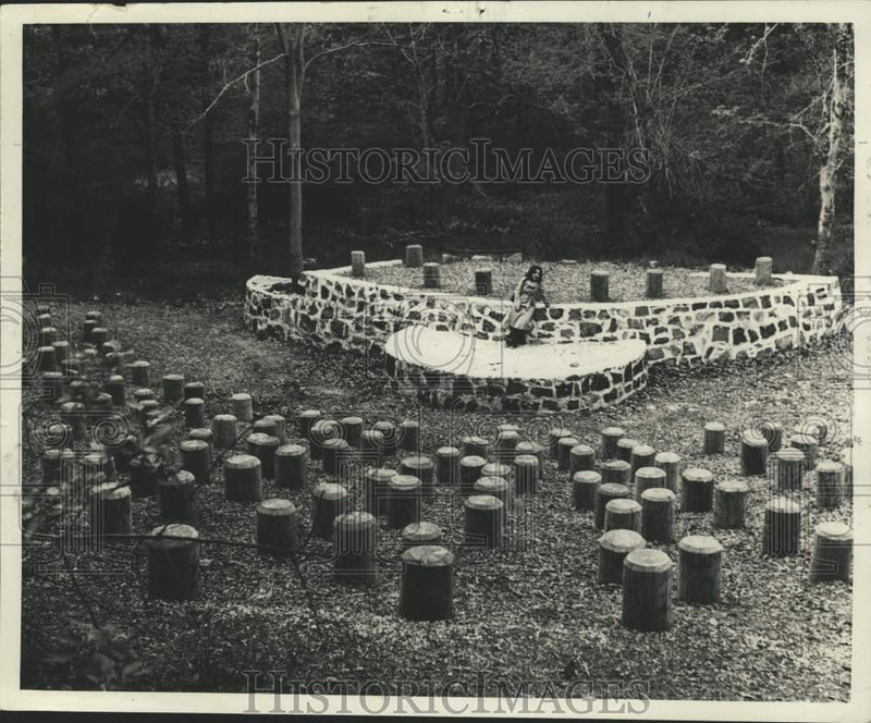 Load image into Gallery viewer, 1974 Press Photo The amphitheater at the Goodhue Center - sia04644
