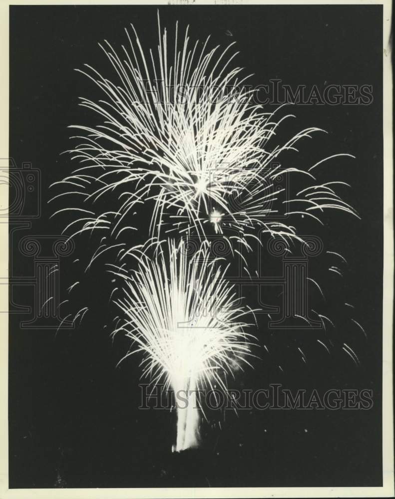 1985 Press Photo Snug Harbor fireworks display - sia05946