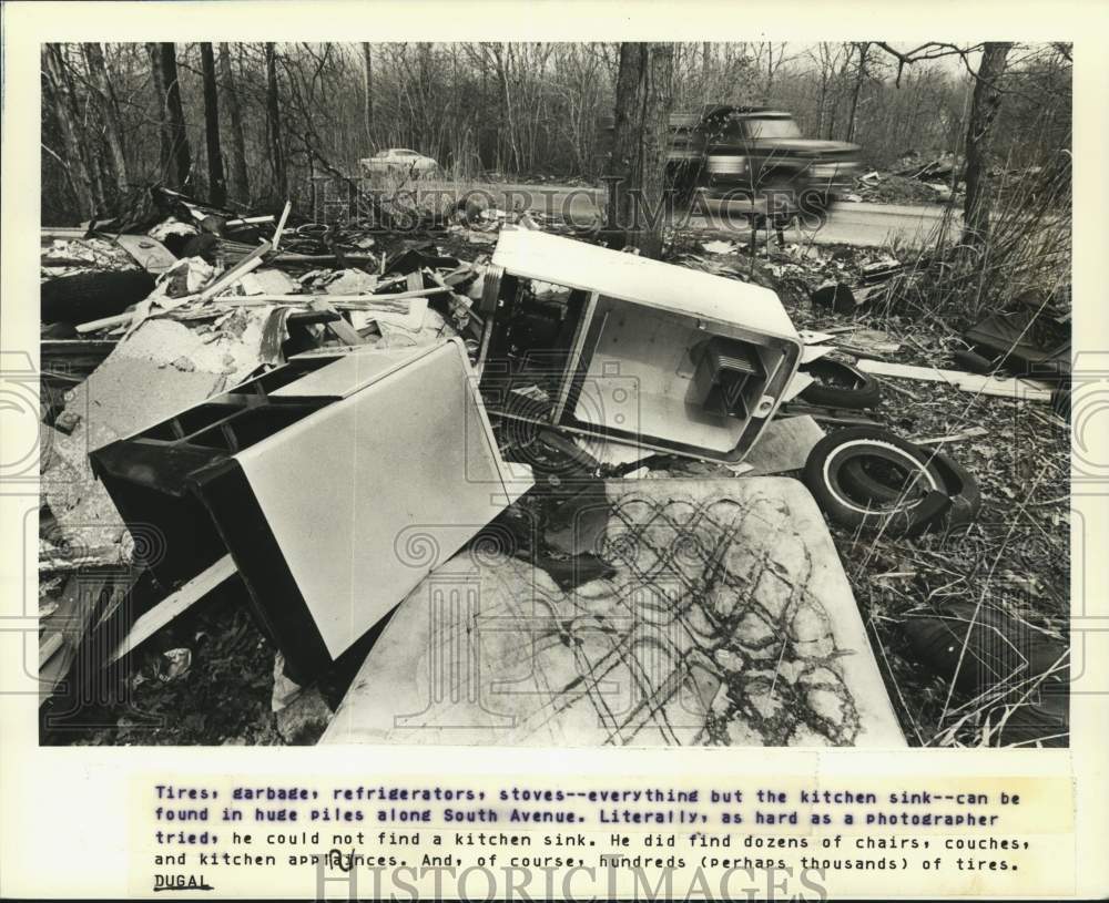 1983 Press Photo Illegal dump site along South Avenue - sia06327